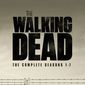 Poster 42 The Walking Dead