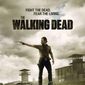 Poster 77 The Walking Dead