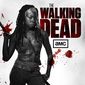 Poster 72 The Walking Dead