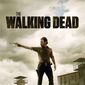 Poster 60 The Walking Dead
