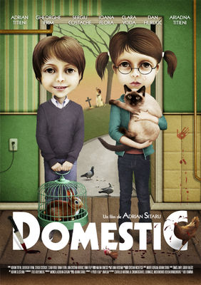 Domestic poster