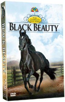 Black Beauty poster