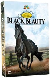 Poster Black Beauty