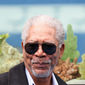 Morgan Freeman în Dolphin Tale - poza 151