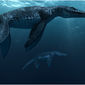 Foto 8 Sea Rex 3D: Journey to a Prehistoric World