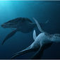 Sea Rex 3D: Journey to a Prehistoric World/Sea Rex 3D: Călătorie în lumea preistorică