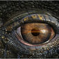 Foto 7 Sea Rex 3D: Journey to a Prehistoric World