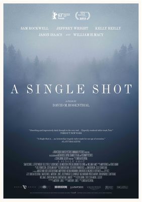 A Single Shot poster