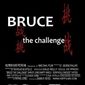 Poster 3 Bruce the Challenge