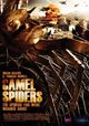 Film - Camel Spiders