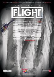 Poster The Art of Flight