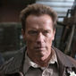 Foto 5 Arnold Schwarzenegger în The Last Stand
