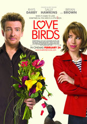 Poster Love Birds