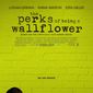 Poster 1 The Perks of Being a Wallflower