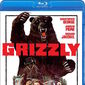 Poster 4 Into the Grizzly Maze