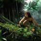 Foto 29 Tarzan