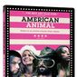 Poster 2 American Animal