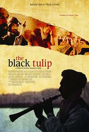 Poster Black Tulip