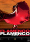 Film Flamenco, Flamenco