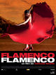 Film - Flamenco, Flamenco