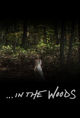 Film - In the Woods