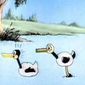 The Duck Hunt/The Duck Hunt