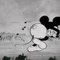 Foto 12 Gulliver Mickey