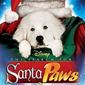 Poster 1 The Search for Santa Paws