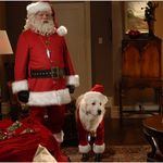 Imagine din galeria filmului The Search for Santa Paws