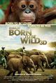 Film - Born to Be Wild