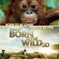 Poster 1 Born to Be Wild