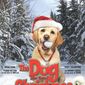 Poster 1 The Dog Who Saved Christmas Vacation