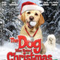 Poster 2 The Dog Who Saved Christmas Vacation