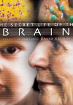 Din secretele creierului