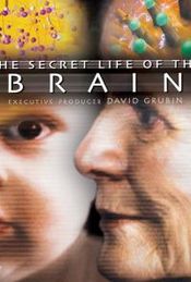 Poster The Secret Life of the Brain