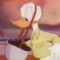 Foto 10 Commando Duck