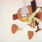 Foto 17 Commando Duck