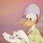 Foto 14 Commando Duck