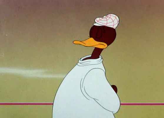 To Duck... or Not to Duck