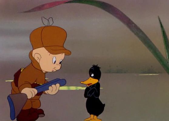 To Duck... or Not to Duck