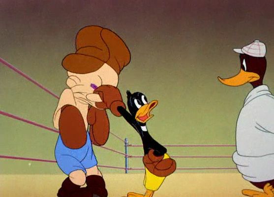 To Duck... or Not to Duck