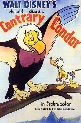 Contrary Condor poster