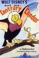 Film - Contrary Condor