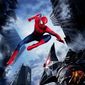 Poster 9 The Amazing Spider-Man 2