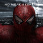 Poster 27 The Amazing Spider-Man 2