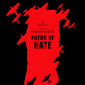 Poster 2 Paths of Hate