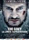 Film The Grey
