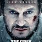 Poster 1 The Grey