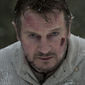 Liam Neeson în The Grey - poza 184