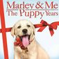 Poster 2 Marley & Me: The Puppy Years